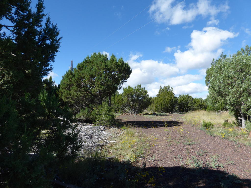 18 County Road 3168, Vernon, AZ 85940