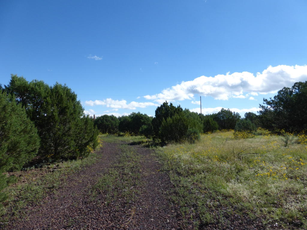 18 County Road 3168, Vernon, AZ 85940