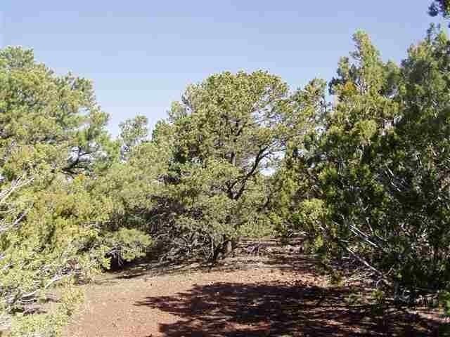 Lot 87 N Ricks Road, Vernon, AZ 85940