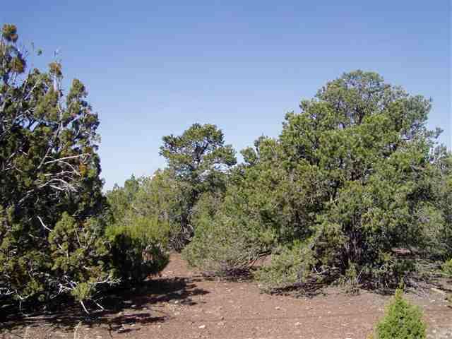 Lot 87 N Ricks Road, Vernon, AZ 85940