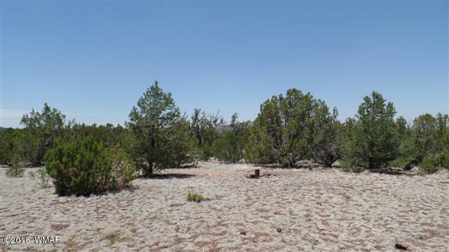 017 ACR N3099, Vernon, AZ 85940