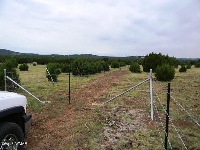 TBD TBD Road, Vernon, AZ 85940