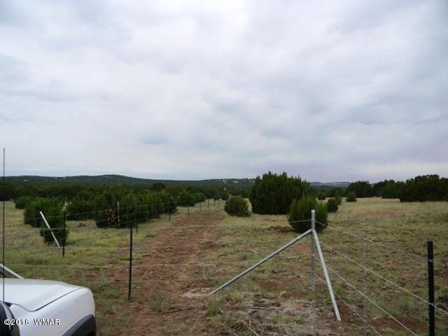 TBD TBD Road, Vernon, AZ 85940