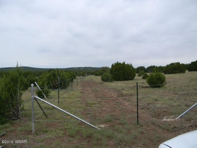 TBD TBD Road, Vernon, AZ 85940