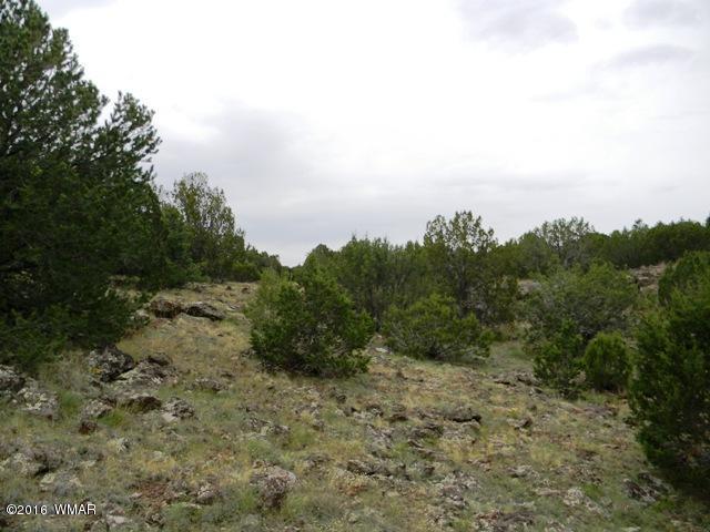 TBD TBD Road, Vernon, AZ 85940