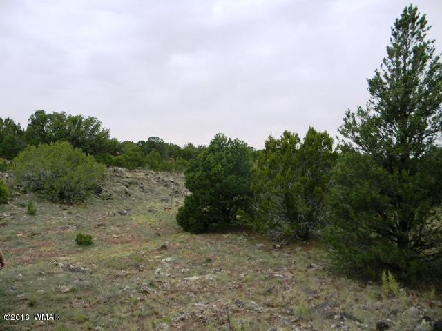 TBD TBD Road, Vernon, AZ 85940