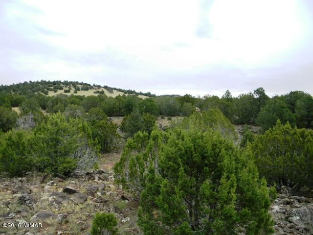 TBD TBD Road, Vernon, AZ 85940