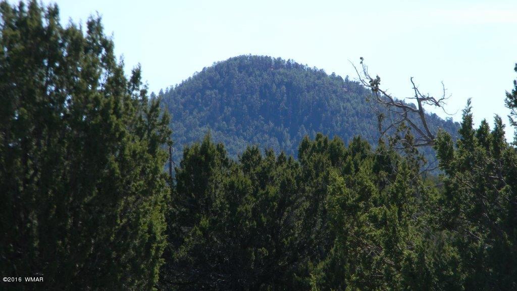 AC ROAD 3075, Vernon, AZ 85940