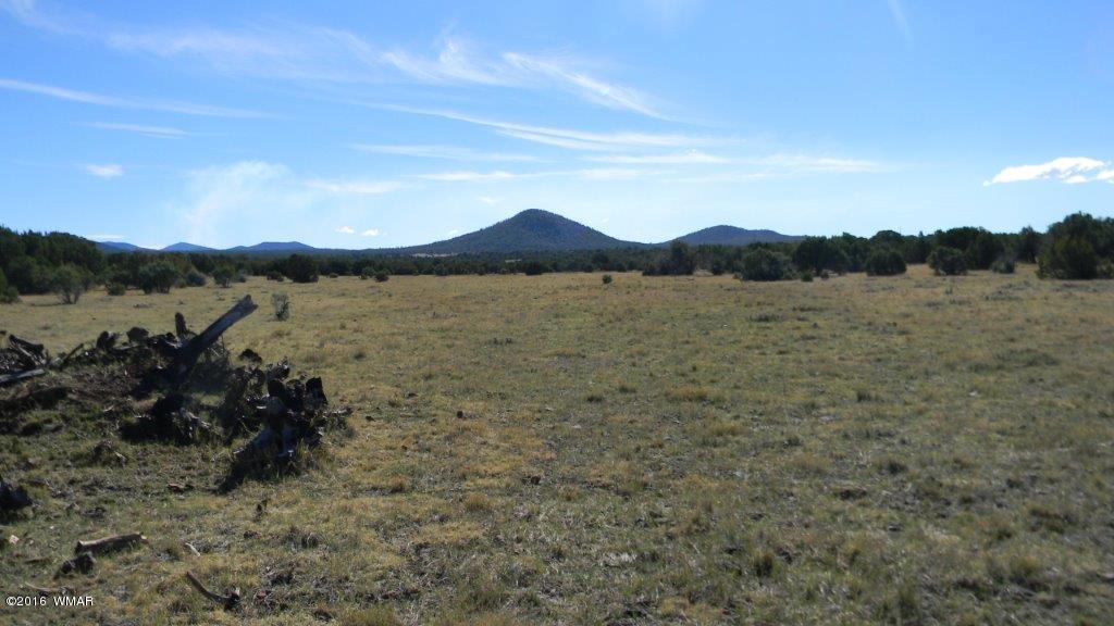 AC ROAD 3075, Vernon, AZ 85940