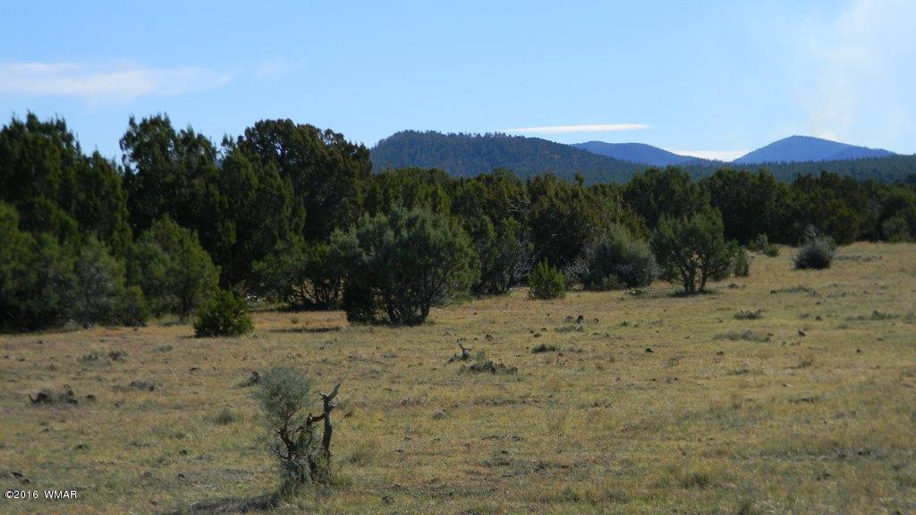 AC ROAD 3075, Vernon, AZ 85940