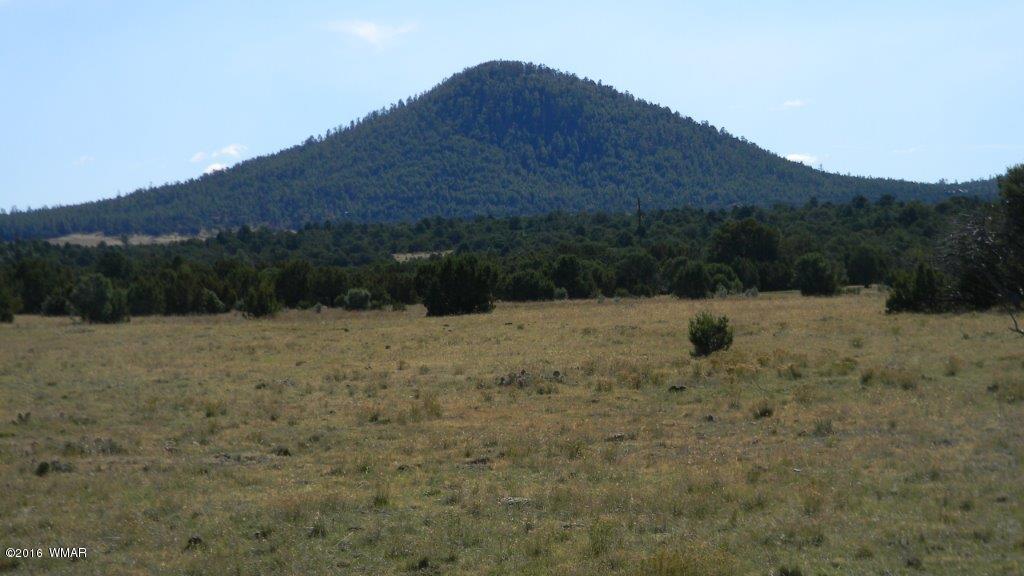 AC ROAD 3075, Vernon, AZ 85940