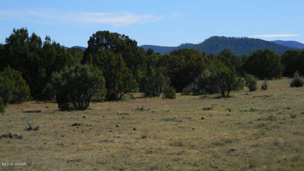 AC ROAD 3075, Vernon, AZ 85940