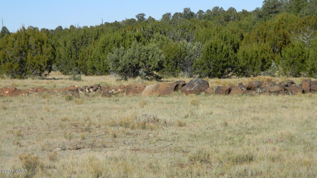 AC ROAD 3075, Vernon, AZ 85940
