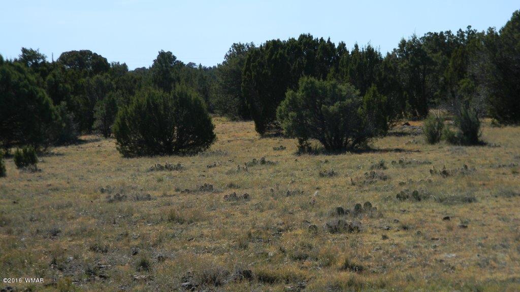 AC ROAD 3075, Vernon, AZ 85940