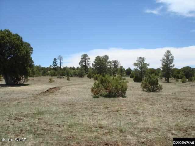 Lot 3 Red Cabin Ranch, Vernon, AZ 85940