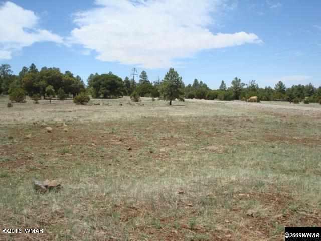 Lot 3 Red Cabin Ranch, Vernon, AZ 85940