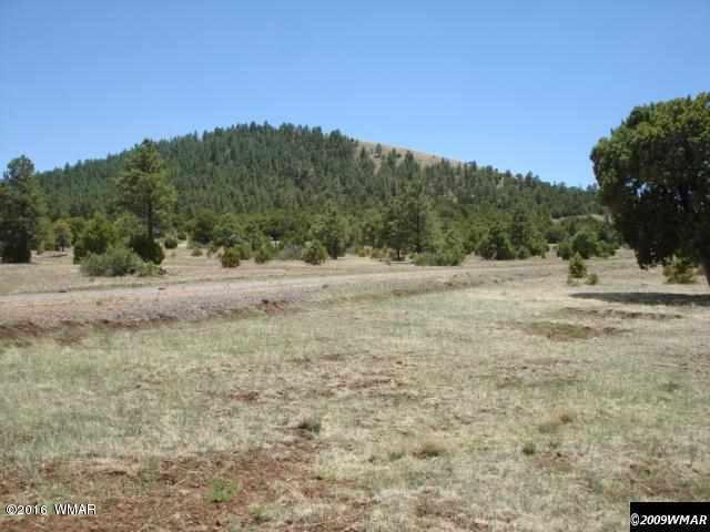 Lot 3 Red Cabin Ranch, Vernon, AZ 85940