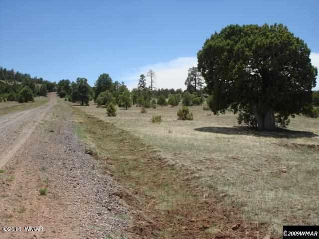 Lot 3 Red Cabin Ranch, Vernon, AZ 85940
