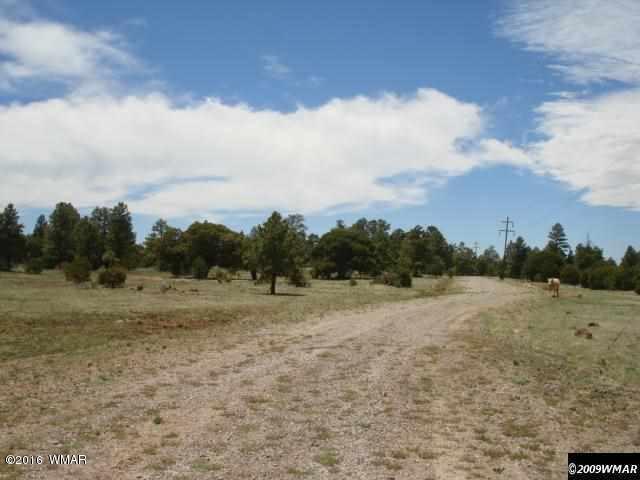 Lot 3 Red Cabin Ranch, Vernon, AZ 85940