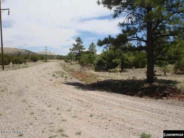 Lot 3 Red Cabin Ranch, Vernon, AZ 85940