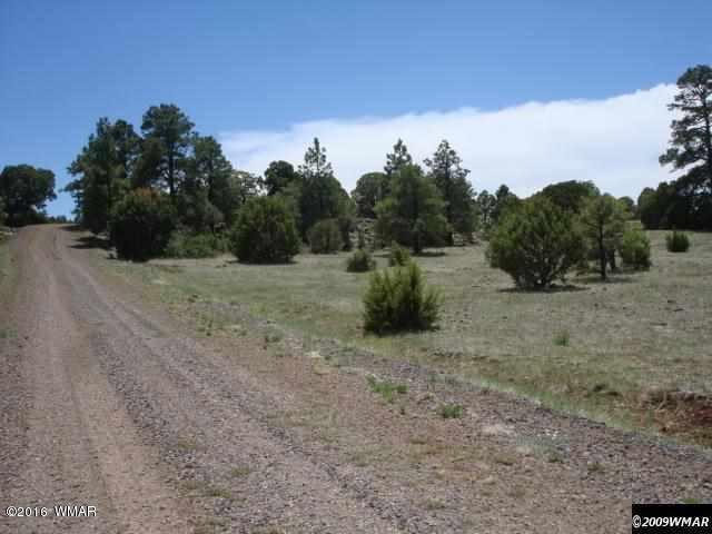 Lot 4 Red Cabin Ranch, Vernon, AZ 85940