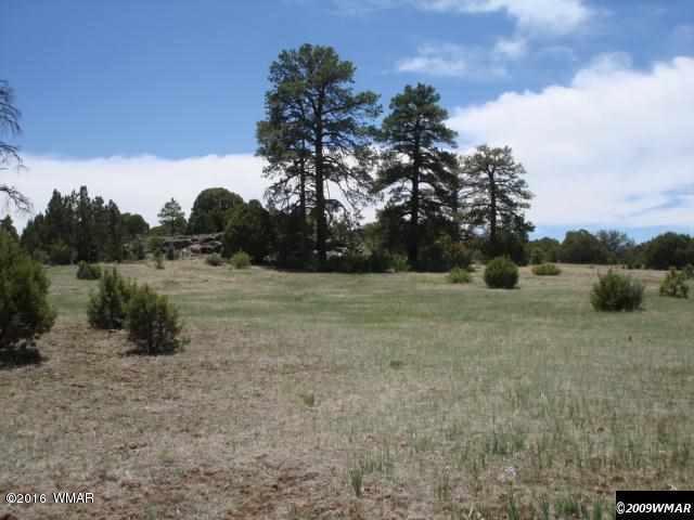 Lot 4 Red Cabin Ranch, Vernon, AZ 85940
