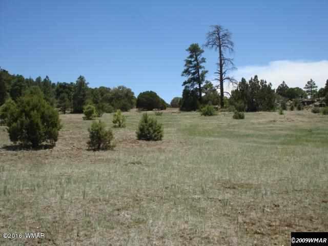 Lot 4 Red Cabin Ranch, Vernon, AZ 85940
