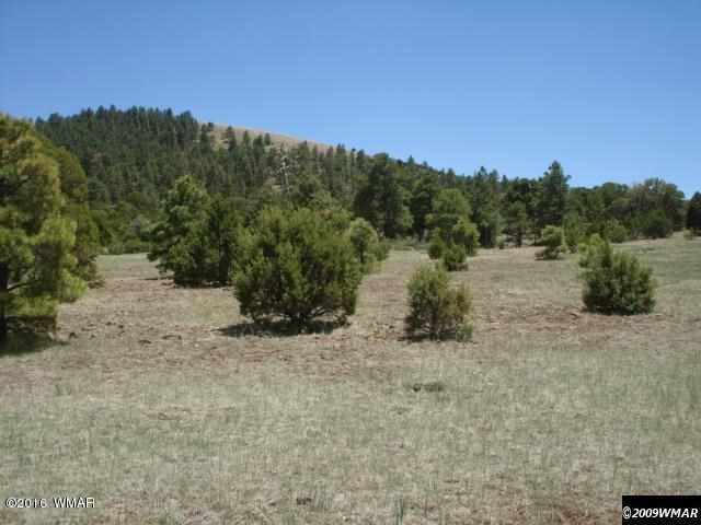 Lot 4 Red Cabin Ranch, Vernon, AZ 85940