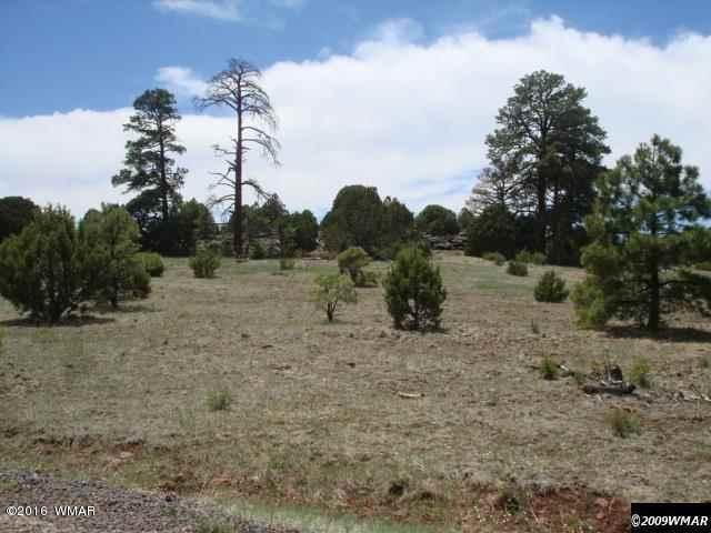 Lot 4 Red Cabin Ranch, Vernon, AZ 85940
