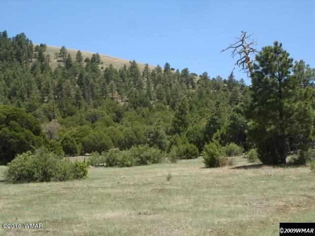 Lot 4 Red Cabin Ranch, Vernon, AZ 85940