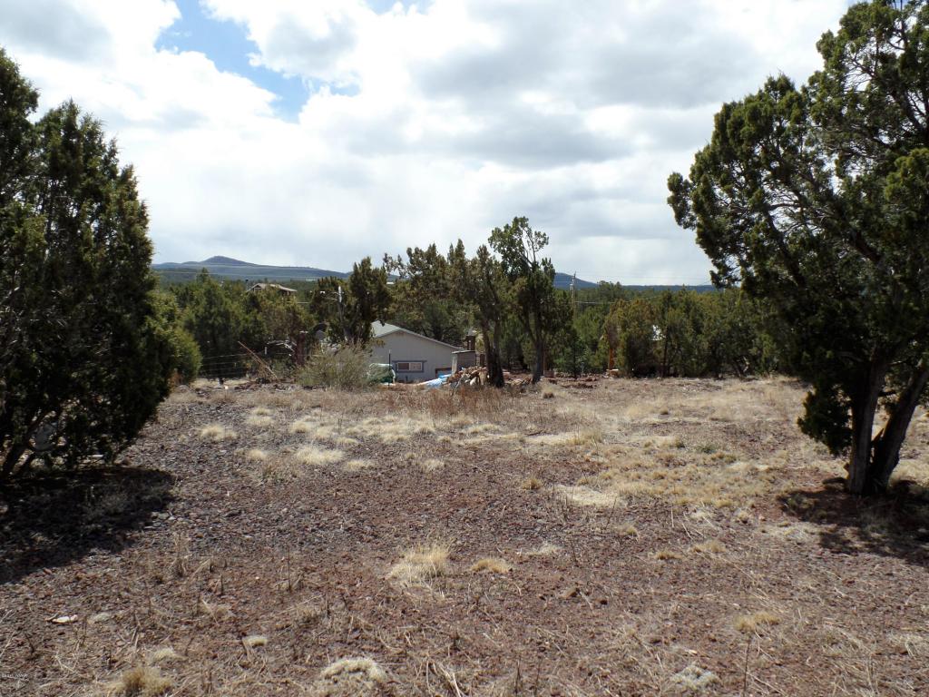 41 County Road 3113, Vernon, AZ 85940