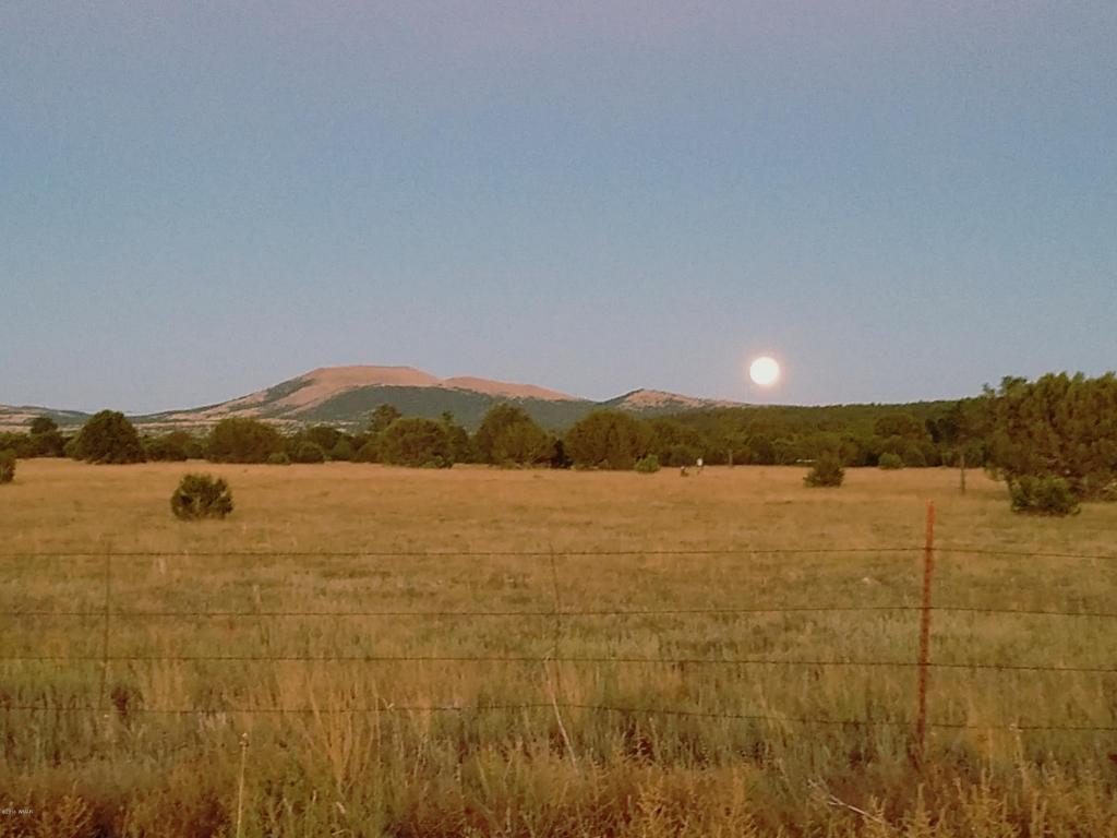 3140 ACR Vernon-Mcnary Road, Vernon, AZ 85940