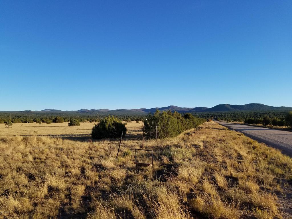 3140 ACR Vernon-Mcnary Road, Vernon, AZ 85940