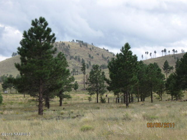 0 Snowbowl Estates 2,Lot 7, Flagstaff, AZ 86001