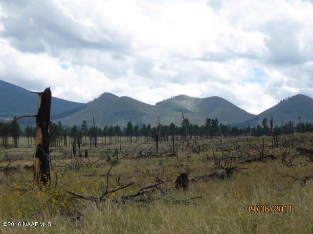 0 Snowbowl Estates 2,Lot 7, Flagstaff, AZ 86001