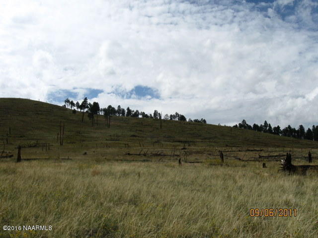 0 Snowbowl Estates 2,Lot 7, Flagstaff, AZ 86001