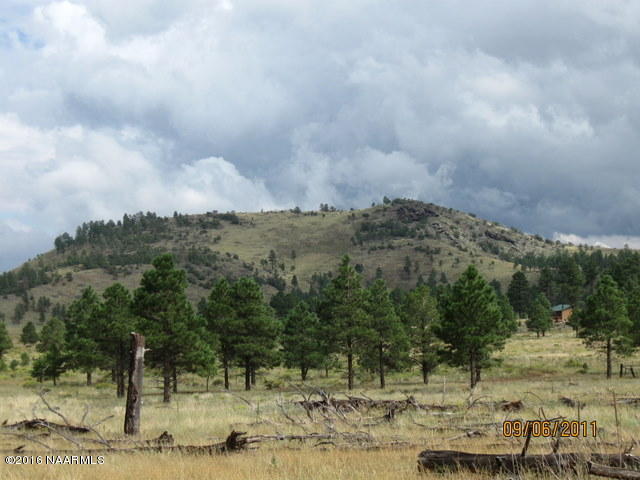 0 Snowbowl Estates 2,Lot 7, Flagstaff, AZ 86001