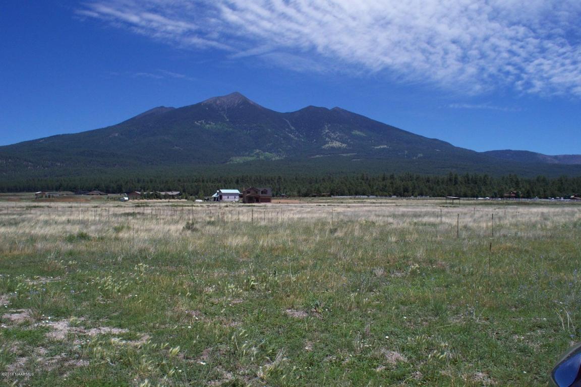 6910 Pettistree Lane, Flagstaff, AZ 86001