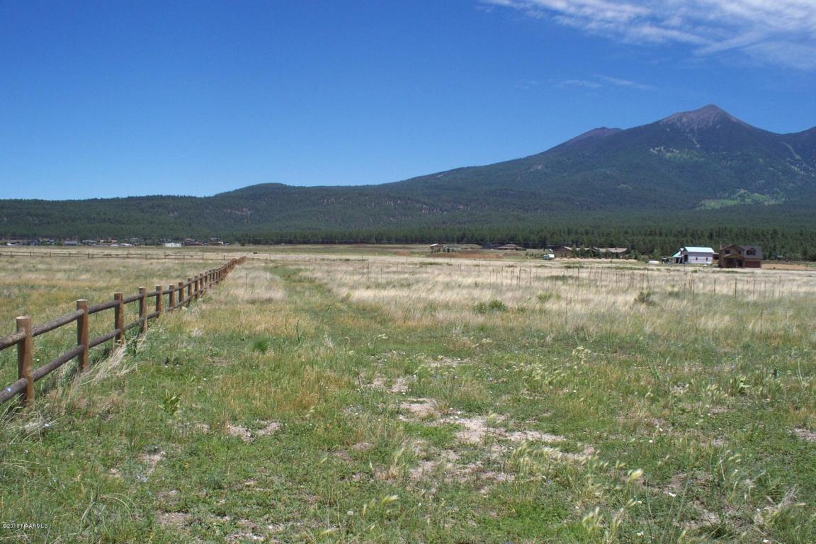 6910 Pettistree Lane, Flagstaff, AZ 86001