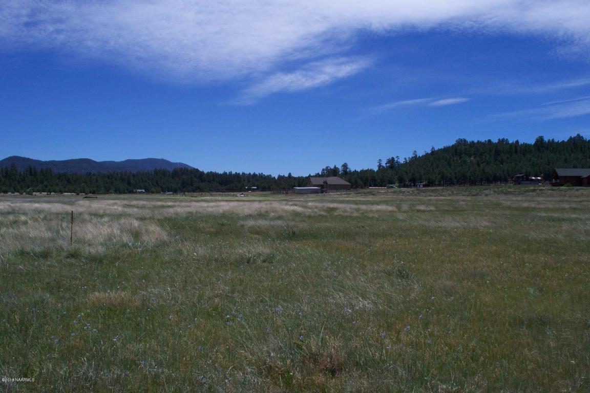 6910 Pettistree Lane, Flagstaff, AZ 86001