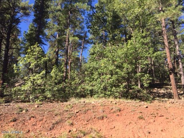 789 N Forest View Drive, Flagstaff, AZ 86001
