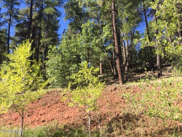 789 N Forest View Drive, Flagstaff, AZ 86001