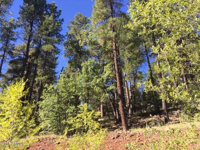 789 N Forest View Drive, Flagstaff, AZ 86001