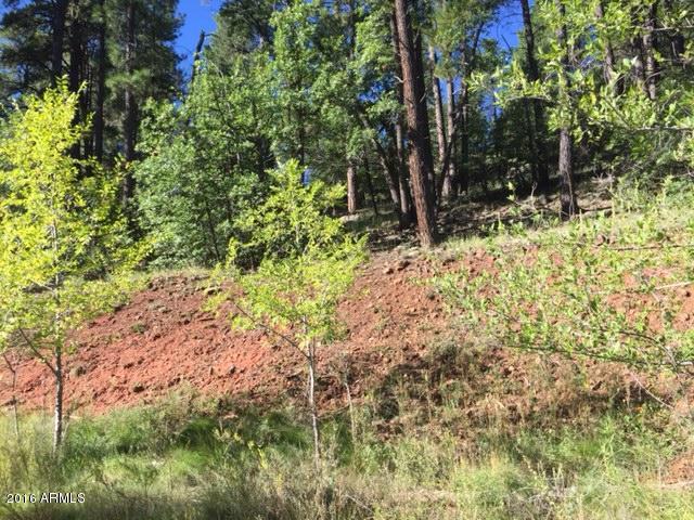 789 N Forest View Drive, Flagstaff, AZ 86001