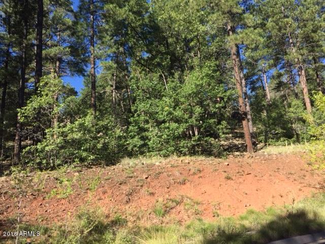 789 N Forest View Drive, Flagstaff, AZ 86001