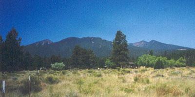 5140 Thames Road, Flagstaff, AZ 86004