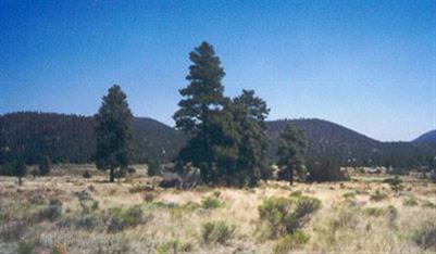 5140 Thames Road, Flagstaff, AZ 86004