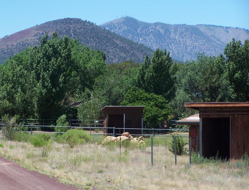 6101 E Camden Rd, Flagstaff, AZ 86004