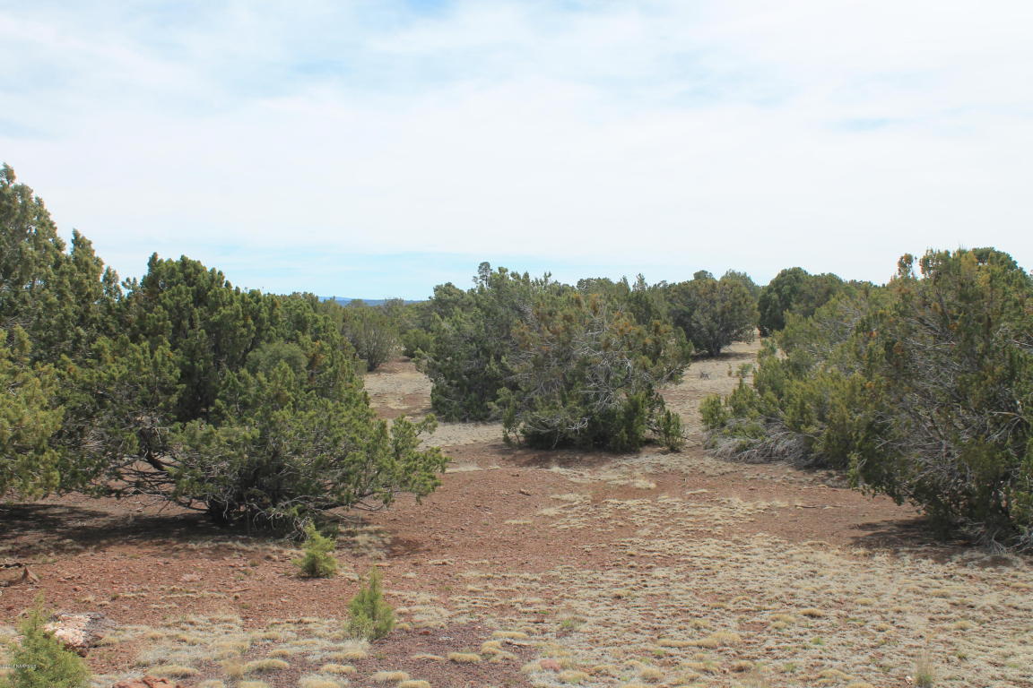 7780 Mickelsons Road, Flagstaff, AZ 86004