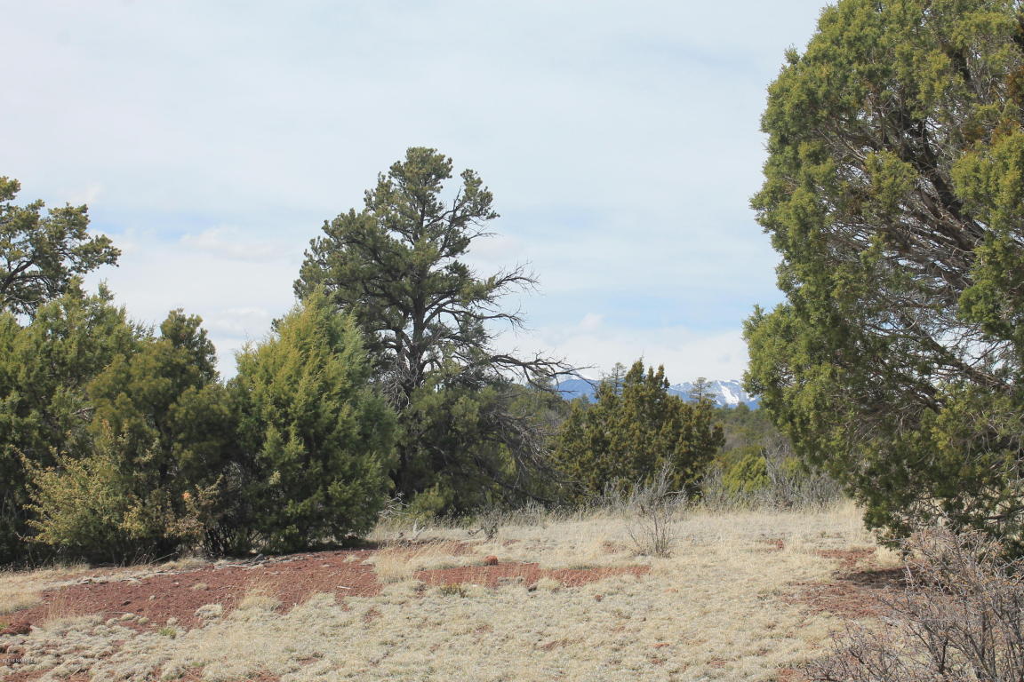 7780 Mickelsons Road, Flagstaff, AZ 86004